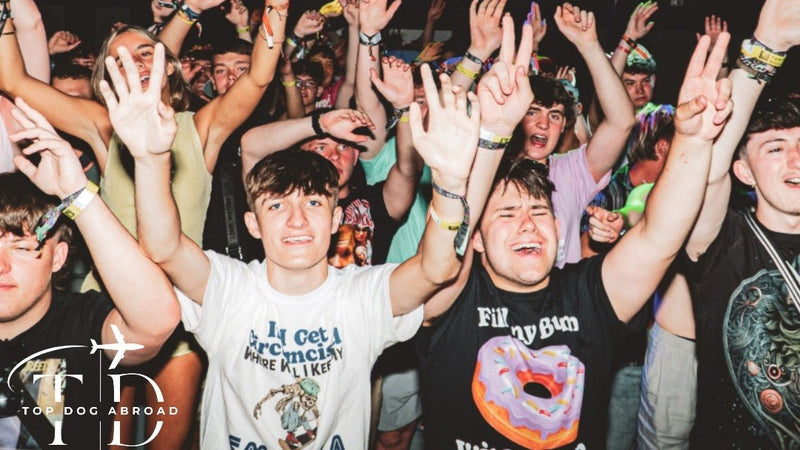 Group of seasonal workers with their hands in the air on a night out in a club